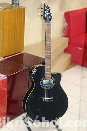 Acoustic Guitar